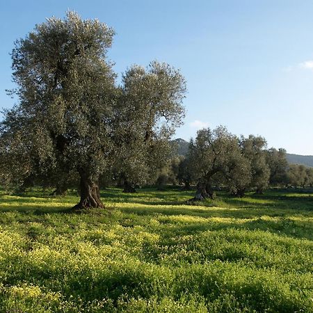 Minicasa Nella Natura, Con Piscina A Due Passi Ostuni Kültér fotó