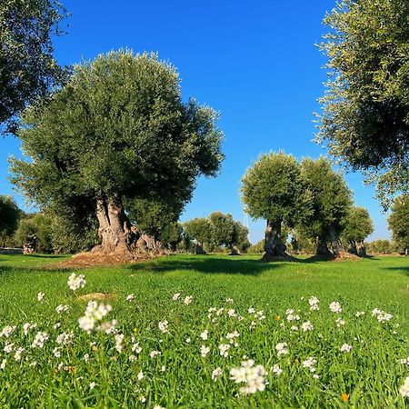 Minicasa Nella Natura, Con Piscina A Due Passi Ostuni Kültér fotó