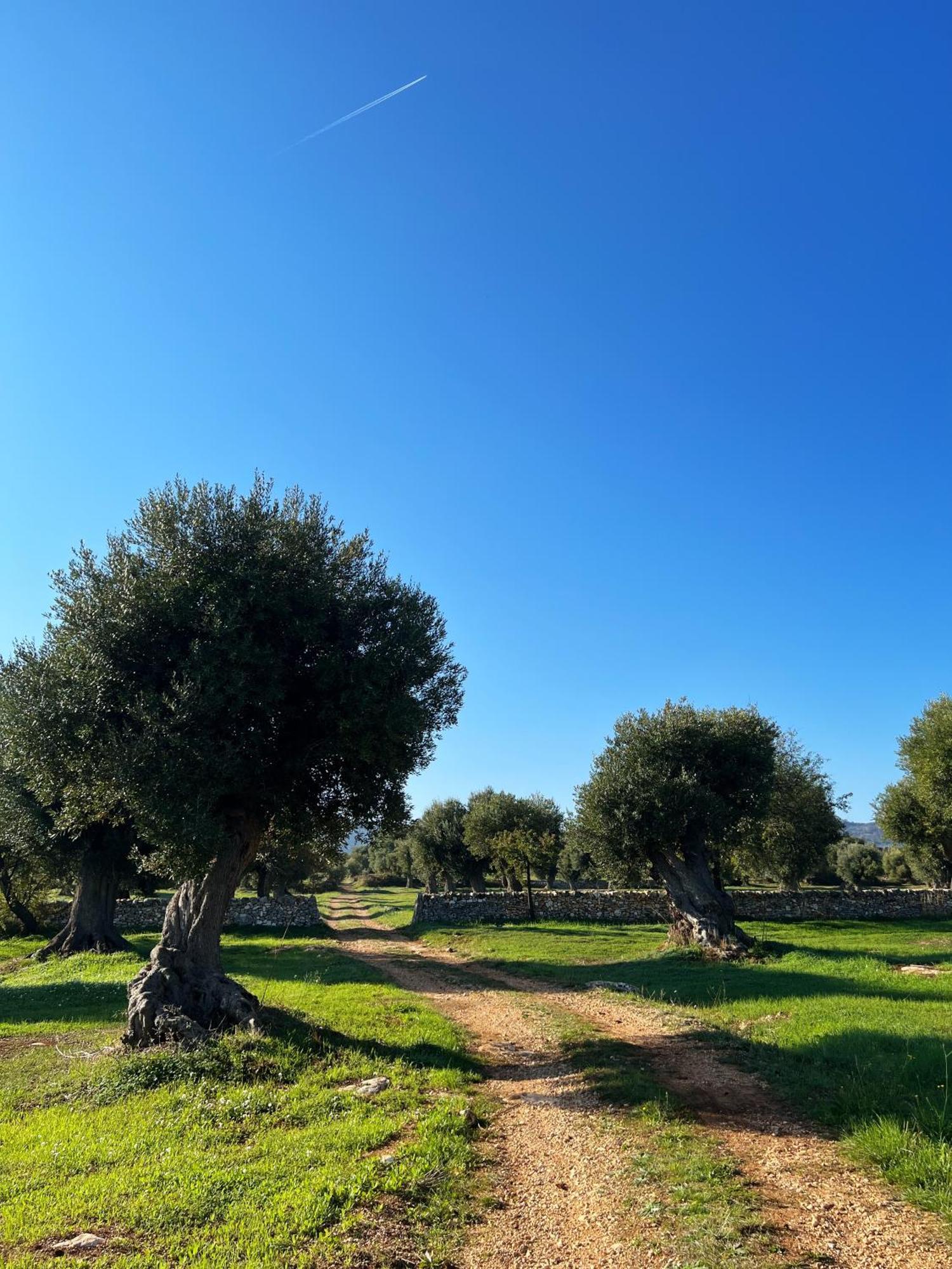 Minicasa Nella Natura, Con Piscina A Due Passi Ostuni Kültér fotó